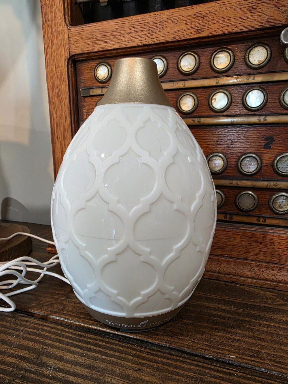 Young Living Desert Mist Essential Oil Diffuser